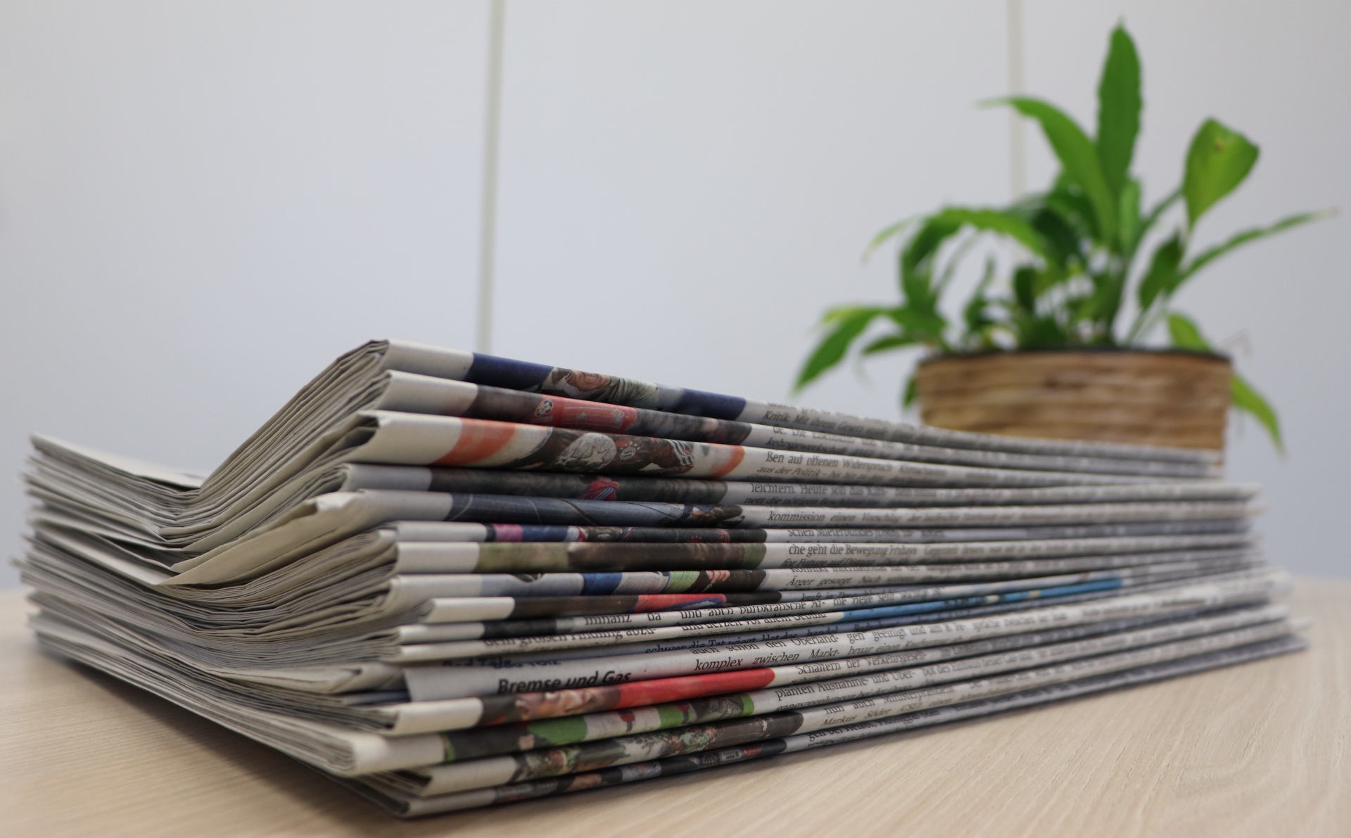 The photo shows a pile of newspapers with a flowering plant on the right in the background