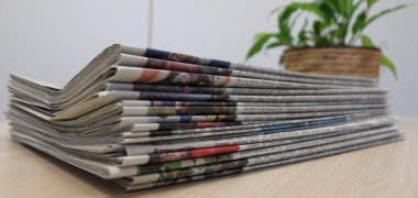 The photo shows a pile of newspapers with a flowering plant on the right in the background