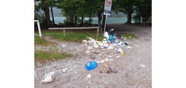 In the middle of nature, garbage is scattered over an area.