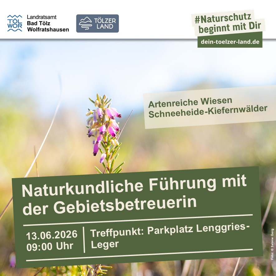 Poster for the natural history tour to the Schemerfilz and the Jachen