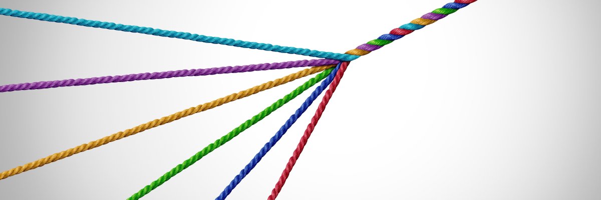 Cover picture Inclusion strategy different colored cords run together and form a colorful cord