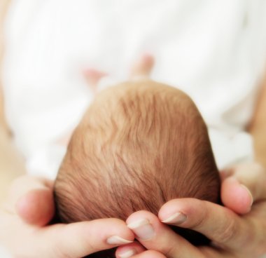 An adult carefully holds the head of a baby in both hands. You can only see the back of the baby's head with fine hair.