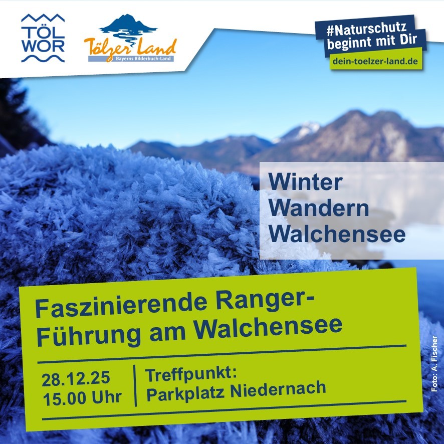 Winter hike poster decarative