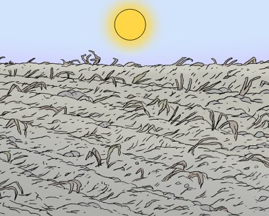 Beispielbild Dürre Unter einer gleißenden Sonne am blauen Himmel sieht man ein verdorrtes Feld.