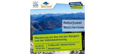 Schmuckbild