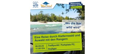 Plakat zur Wanderung am 06.09.2025 Eine Reise durch Kiefernwald und Auwald Schmuckbild