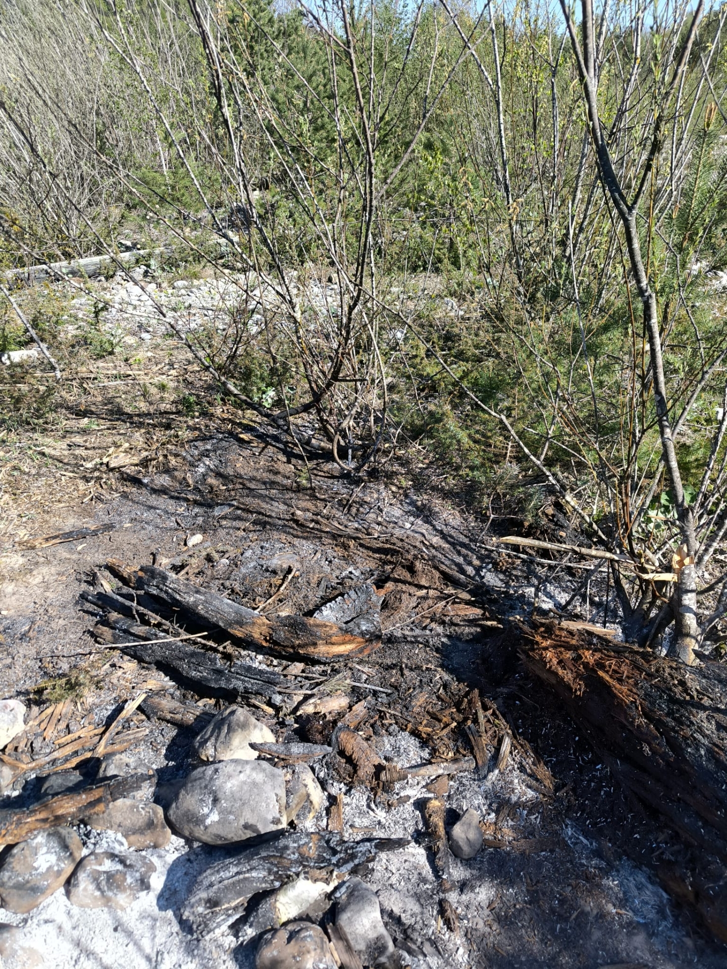 Das Bild zeigt im unteren Teil eine Lagerfeuerstelle. Sie ist mit großen Steinen eingekreist. Außerhalb der Feuerstelle ist der Boden und ein Teil von einem herumliegenden Baumstand versengt.