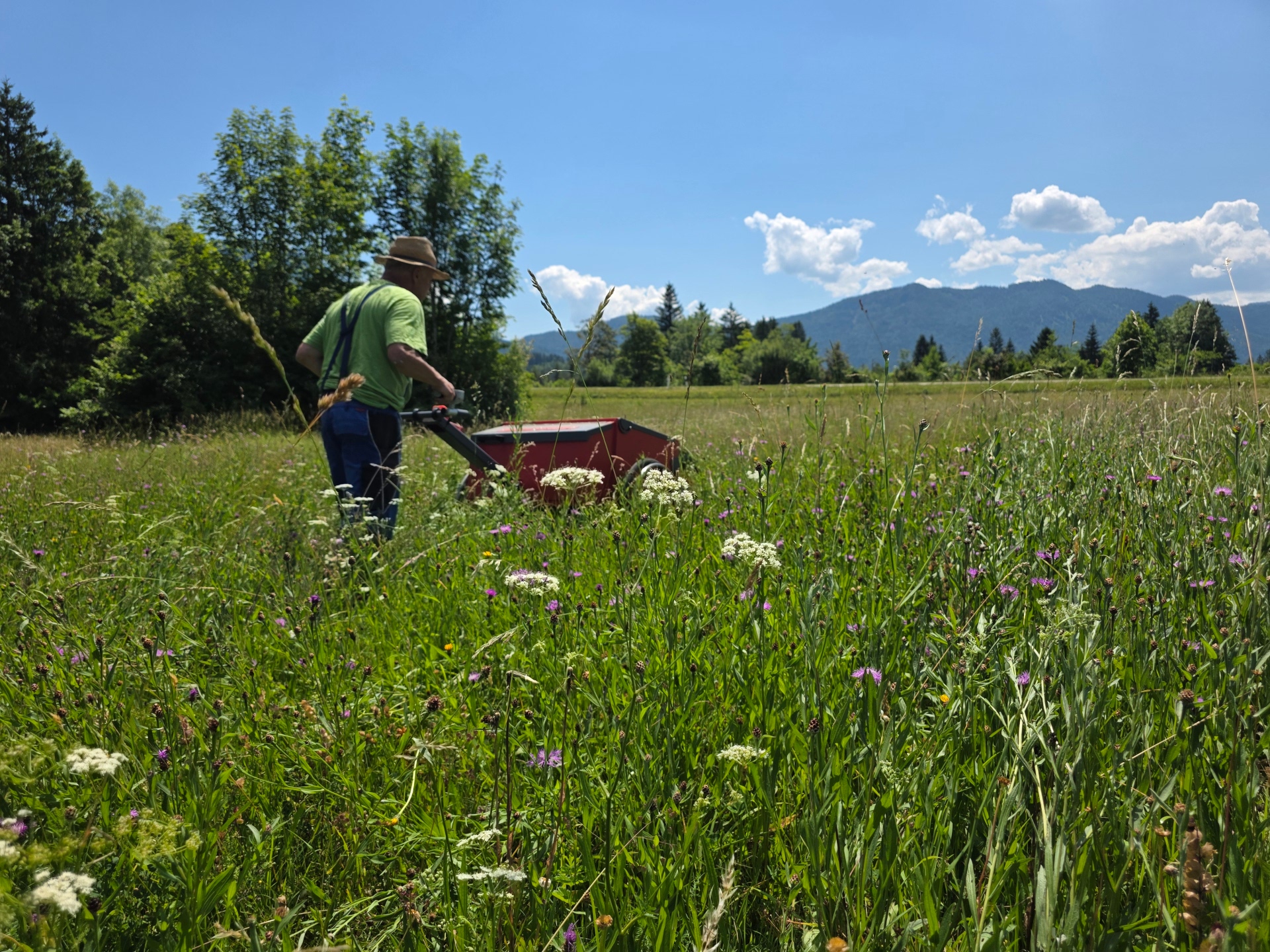 Beerntung einer Artenreichen Mähwiese mit SeedProfi