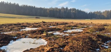 Aufnahme des bearbeiteten Moorbodens