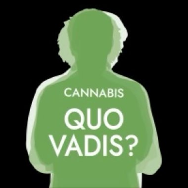 schemenhafte Abbildung Mensch in Grün auf schwarzem Grund. Text in weiß: Cannabis Quo Vadis?
