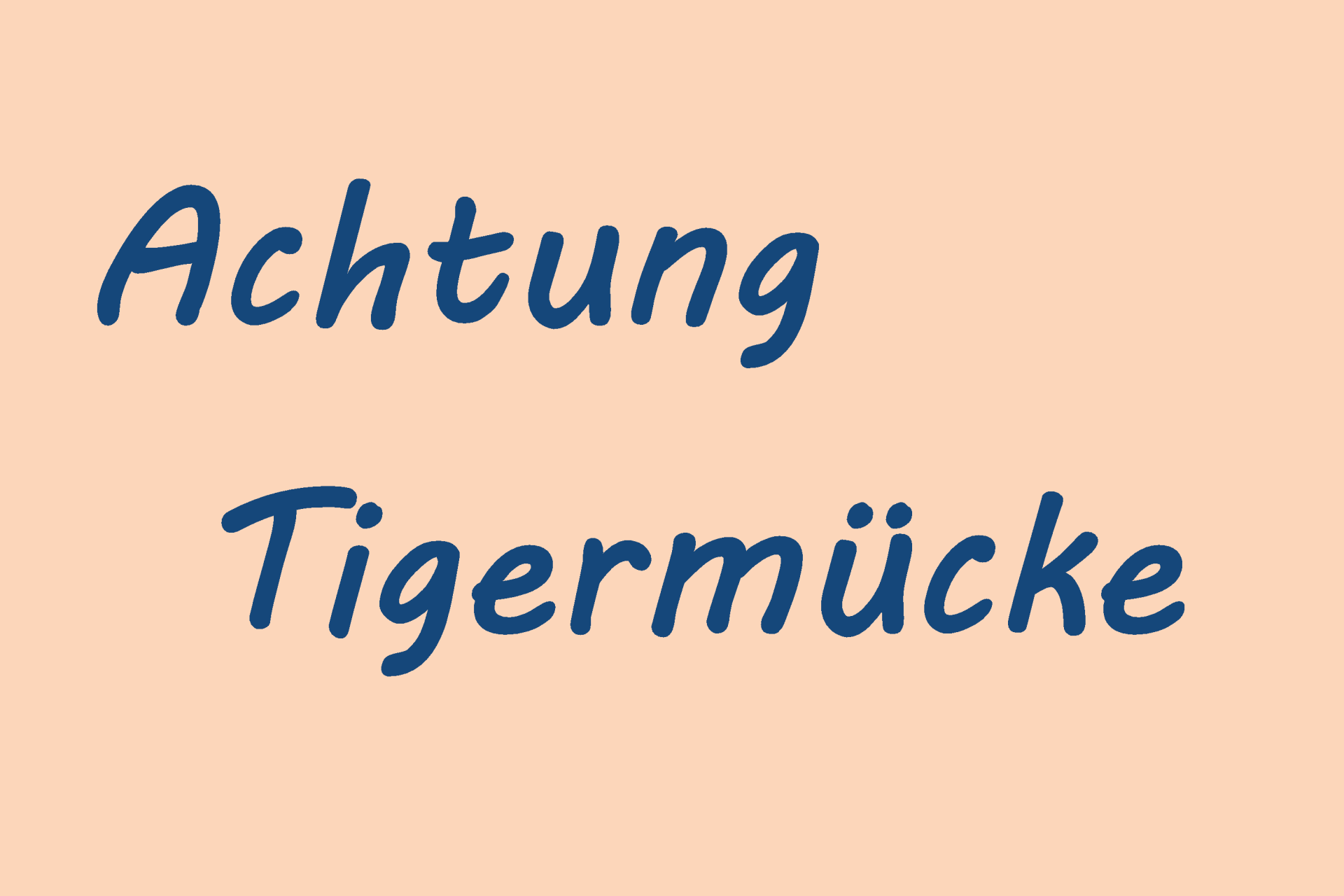 Schriftzug Achtung Tigermücke