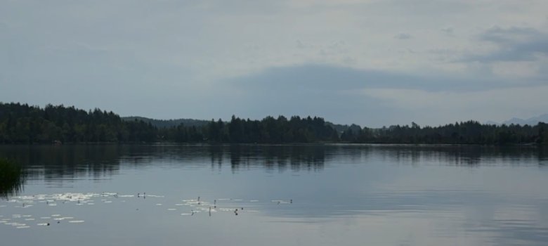 Blick auf den See
