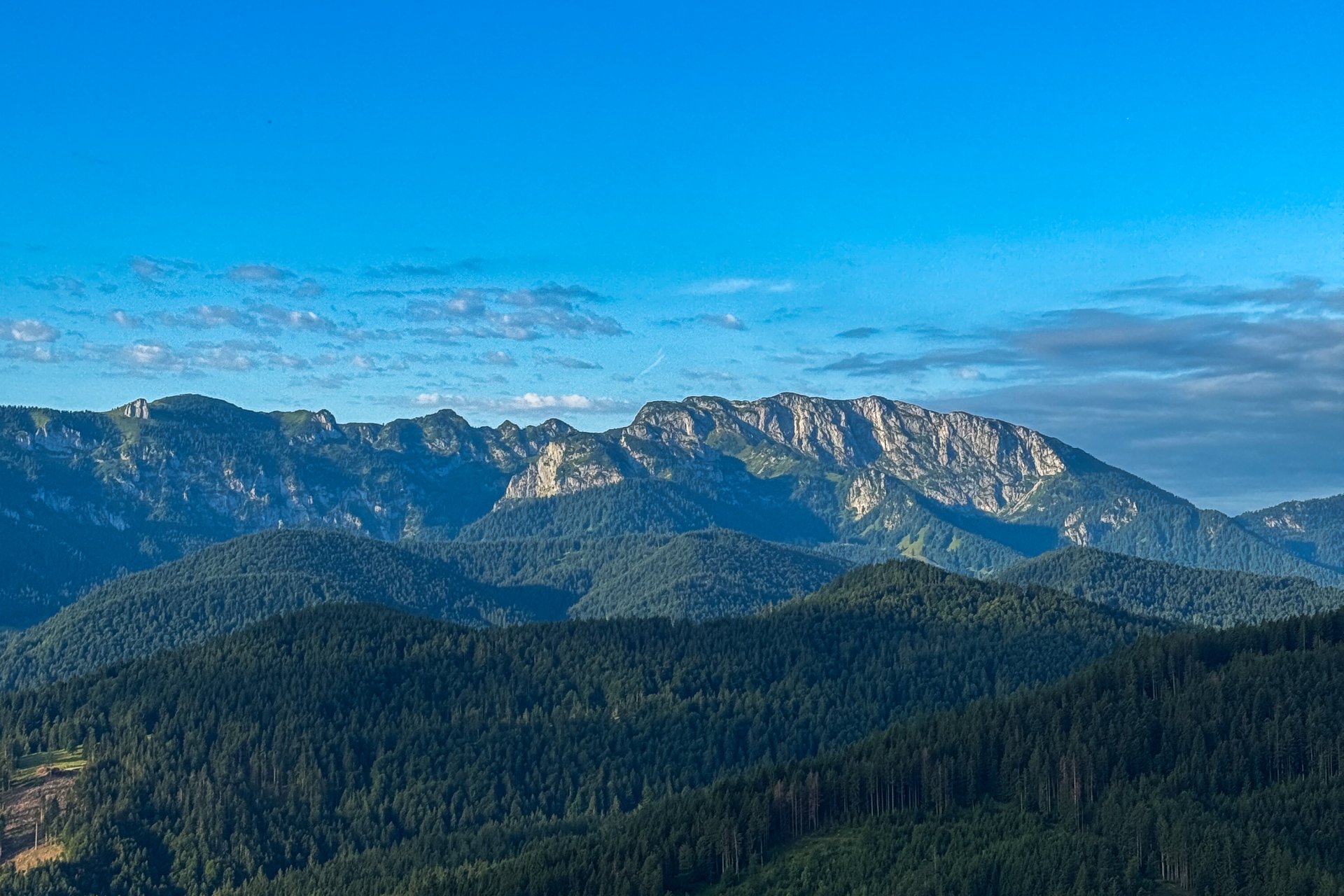Benediktenwand Auf dem Bild sieht man die Benediktenwand. Das ist ein Berg mit felsigen Hängen. Die Hügel davor im unteren Teil des Bildes sind bewaldet. Der Himmel ist blau.